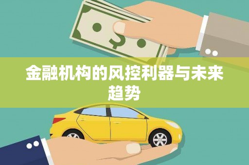 贺兰金融机构的风控利器与未来趋势