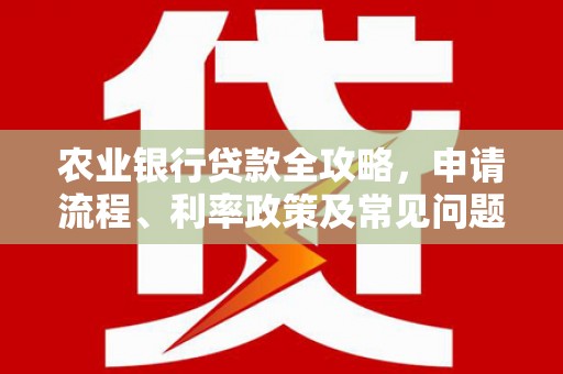 贺兰农业银行贷款全攻略，申请流程、利率政策及常见问题解析