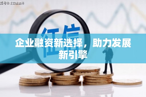 贺兰企业融资新选择，助力发展新引擎