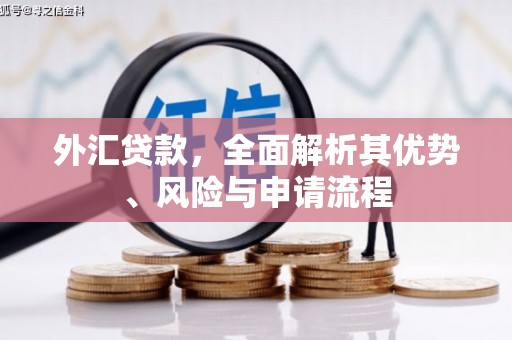 贺兰外汇贷款，全面解析其优势、风险与申请流程