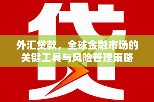 贺兰外汇贷款，全球金融市场的关键工具与风险管理策略