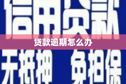 贺兰贷款逾期怎么办