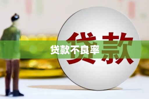 贺兰贷款不良率