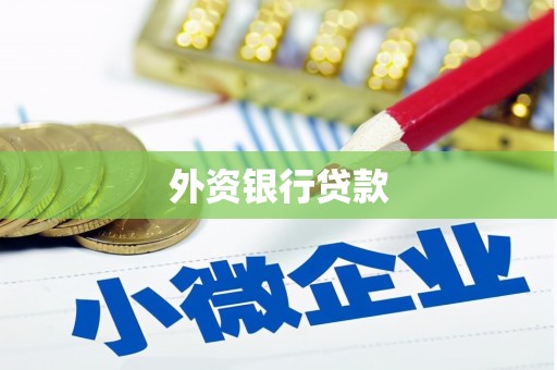 贺兰外资银行贷款