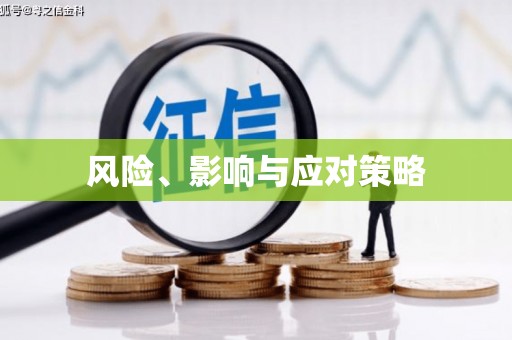 贺兰风险、影响与应对策略
