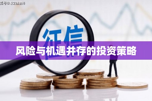 贺兰风险与机遇并存的投资策略