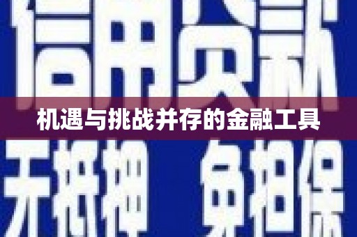 贺兰机遇与挑战并存的金融工具