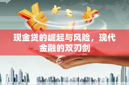贺兰现金贷的崛起与风险，现代金融的双刃剑