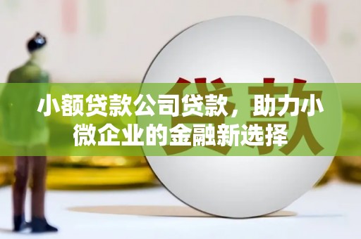 贺兰小额贷款公司贷款，助力小微企业的金融新选择