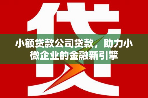 贺兰小额贷款公司贷款，助力小微企业的金融新引擎