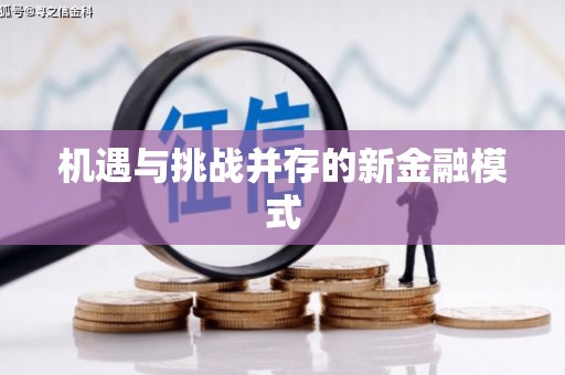 贺兰机遇与挑战并存的新金融模式