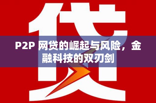 贺兰P2P 网贷的崛起与风险，金融科技的双刃剑
