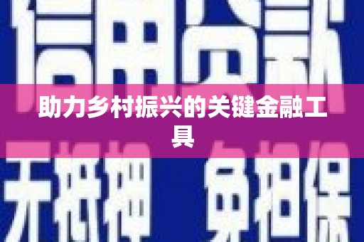 贺兰助力乡村振兴的关键金融工具