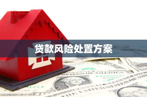 贺兰贷款风险处置方案