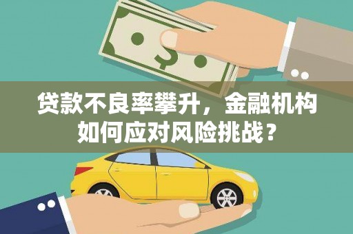 贺兰贷款不良率攀升，金融机构如何应对风险挑战？