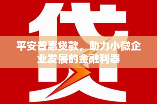 贺兰平安普惠贷款，助力小微企业发展的金融利器