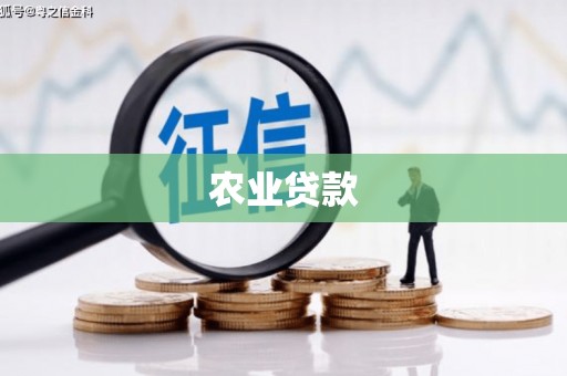 贺兰农业贷款