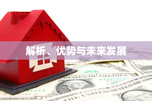 贺兰解析、优势与未来发展
