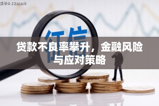 贺兰贷款不良率攀升，金融风险与应对策略