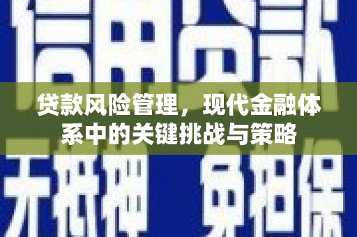 贺兰贷款风险管理，现代金融体系中的关键挑战与策略