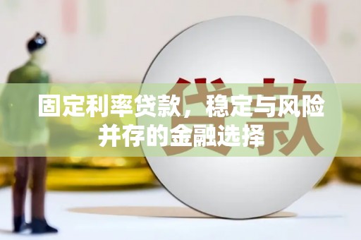 贺兰固定利率贷款，稳定与风险并存的金融选择