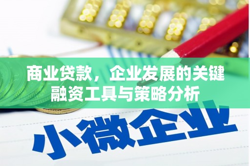 贺兰商业贷款，企业发展的关键融资工具与策略分析