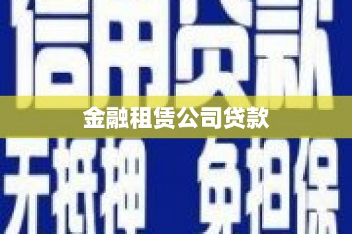 贺兰金融租赁公司贷款