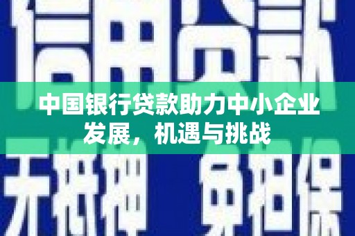 贺兰中国银行贷款助力中小企业发展，机遇与挑战