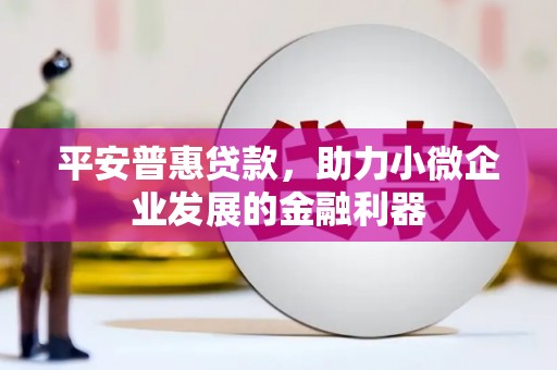 贺兰平安普惠贷款，助力小微企业发展的金融利器