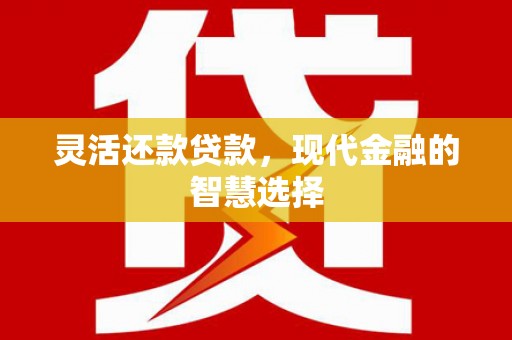 贺兰灵活还款贷款，现代金融的智慧选择