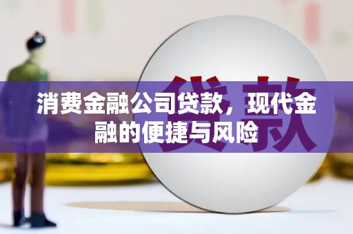 贺兰消费金融公司贷款，现代金融的便捷与风险