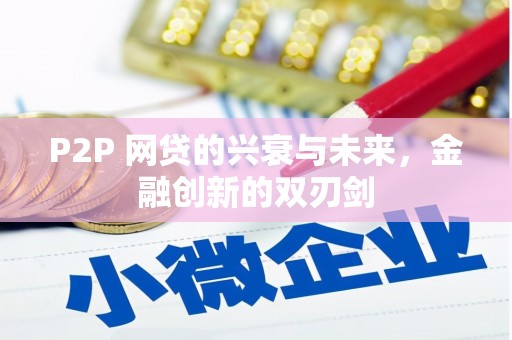 贺兰P2P 网贷的兴衰与未来，金融创新的双刃剑