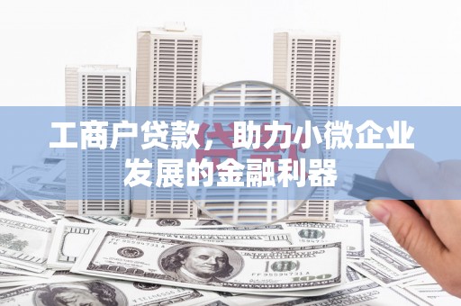 贺兰工商户贷款，助力小微企业发展的金融利器