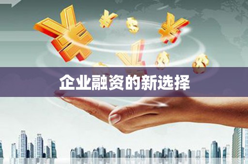 贺兰企业融资的新选择