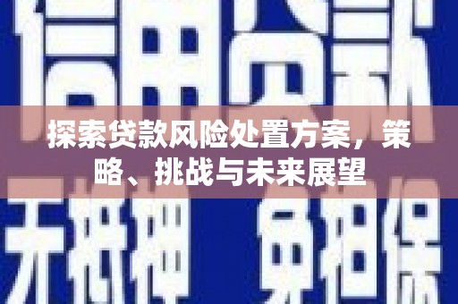 贺兰探索贷款风险处置方案，策略、挑战与未来展望