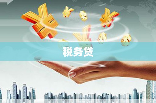 贺兰税务贷