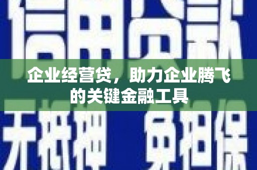 贺兰企业经营贷，助力企业腾飞的关键金融工具