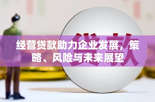 贺兰经营贷款助力企业发展，策略、风险与未来展望