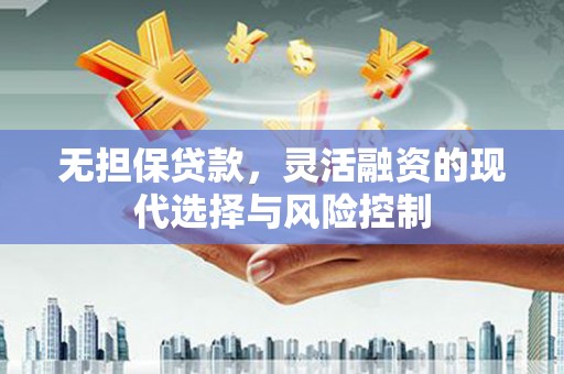 贺兰无担保贷款，灵活融资的现代选择与风险控制