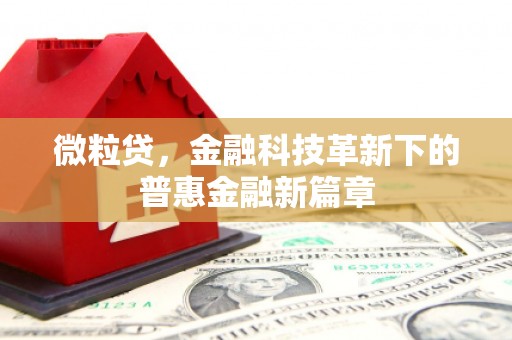 贺兰微粒贷，金融科技革新下的普惠金融新篇章