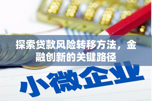贺兰探索贷款风险转移方法，金融创新的关键路径