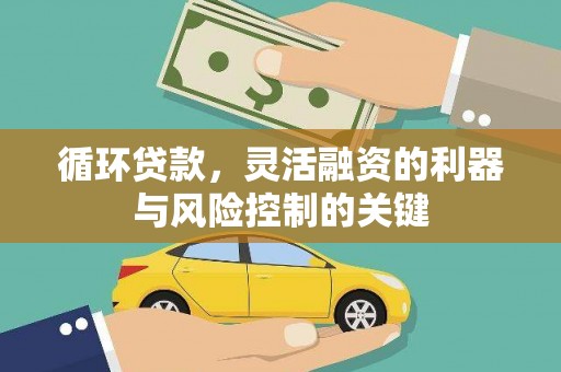 贺兰循环贷款，灵活融资的利器与风险控制的关键
