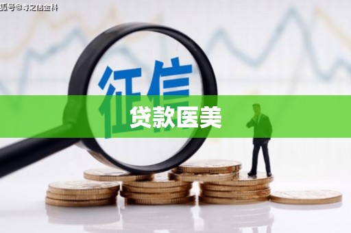 贺兰贷款医美