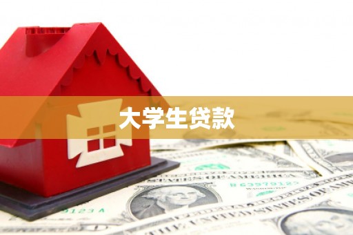 贺兰大学生贷款