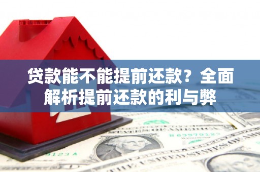 贺兰贷款能不能提前还款？全面解析提前还款的利与弊