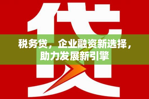 贺兰税务贷，企业融资新选择，助力发展新引擎