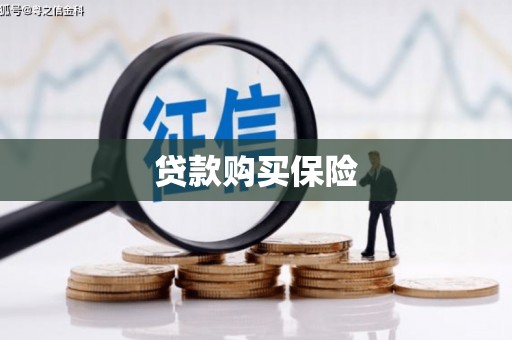 贺兰贷款购买保险