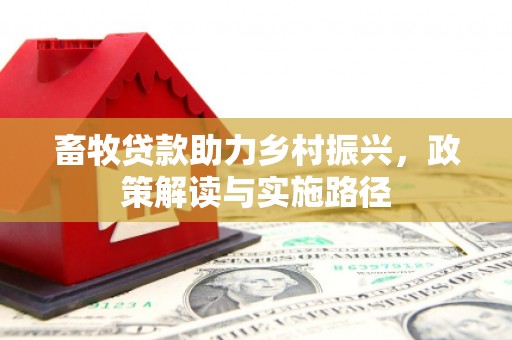 贺兰畜牧贷款助力乡村振兴，政策解读与实施路径