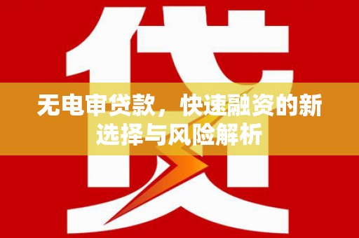 贺兰无电审贷款，快速融资的新选择与风险解析