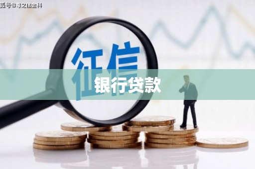 贺兰银行贷款